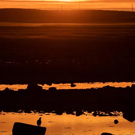 Superior Mountain View Lofoten 巴尔斯塔
