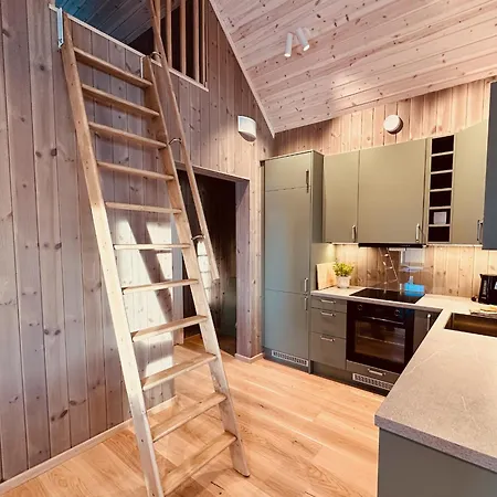 Superior Mountain View Lofoten