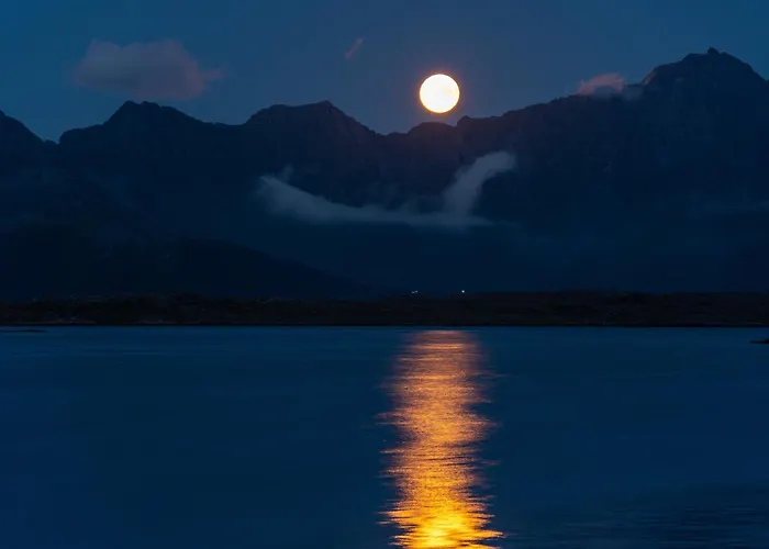 Superior Mountain View Lofoten Appartement