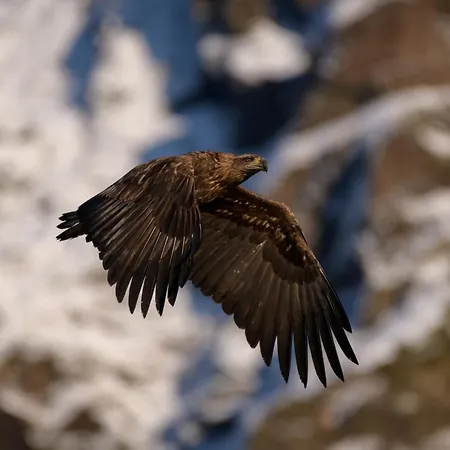 Apartment Superior Mountain View Lofoten